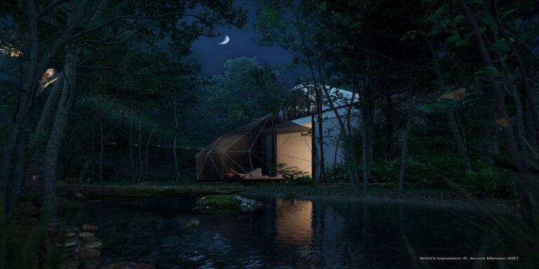 jervois-mansion-forest-night.jpg