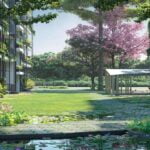 jervois-mansion-tembusu-trail-lily-pond.jpg