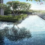 verticus-lap-pool.jpg